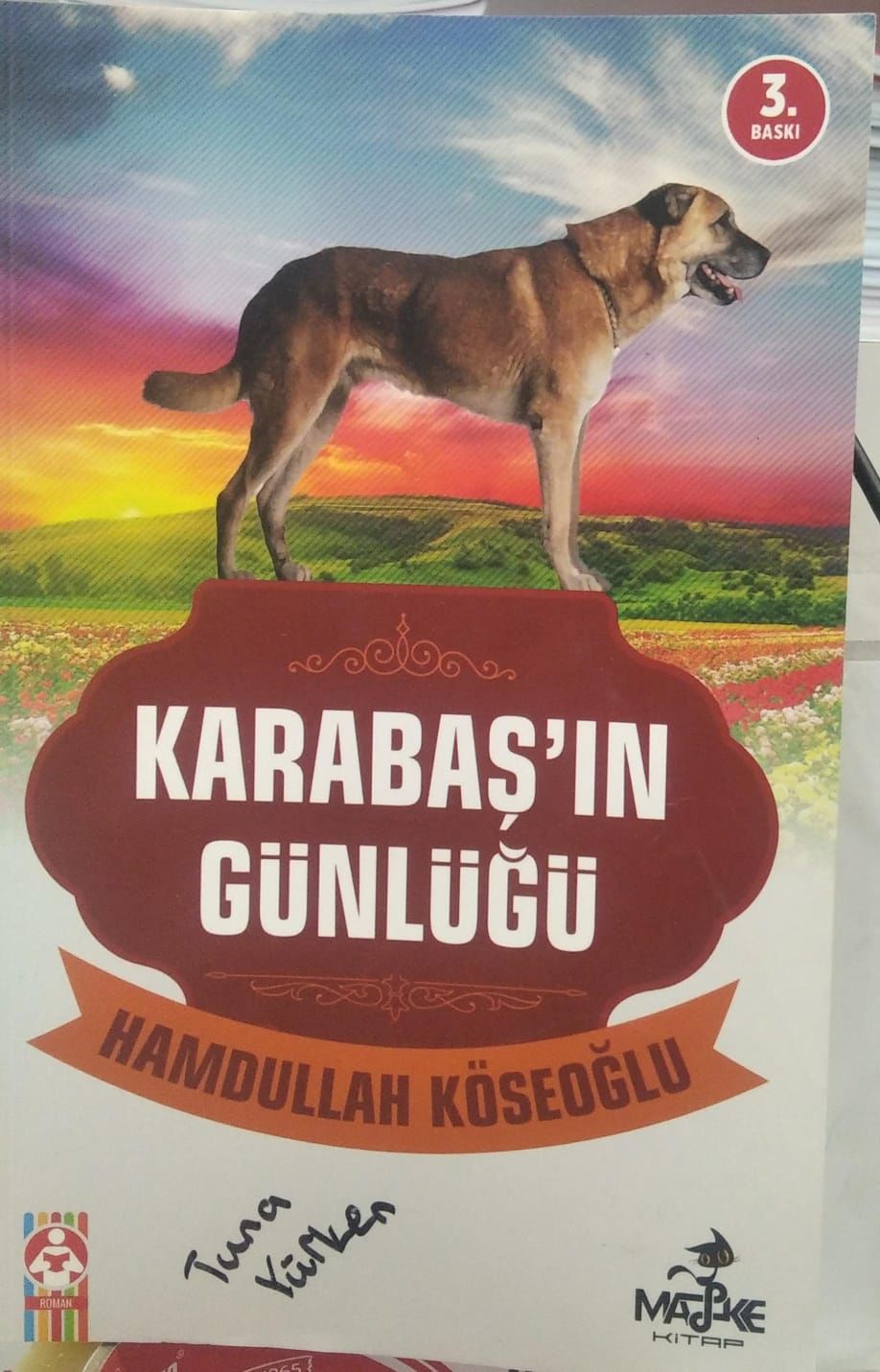 Karabaş'ın Günlüğü - Hamdullah Köseoğlu