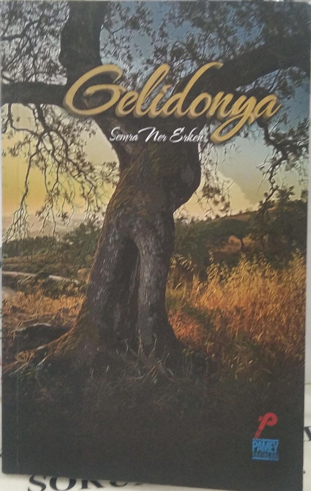 Gelidonya - Semra Ner Erken