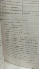 Basic English Grammar - Betty Schrampfe Azar