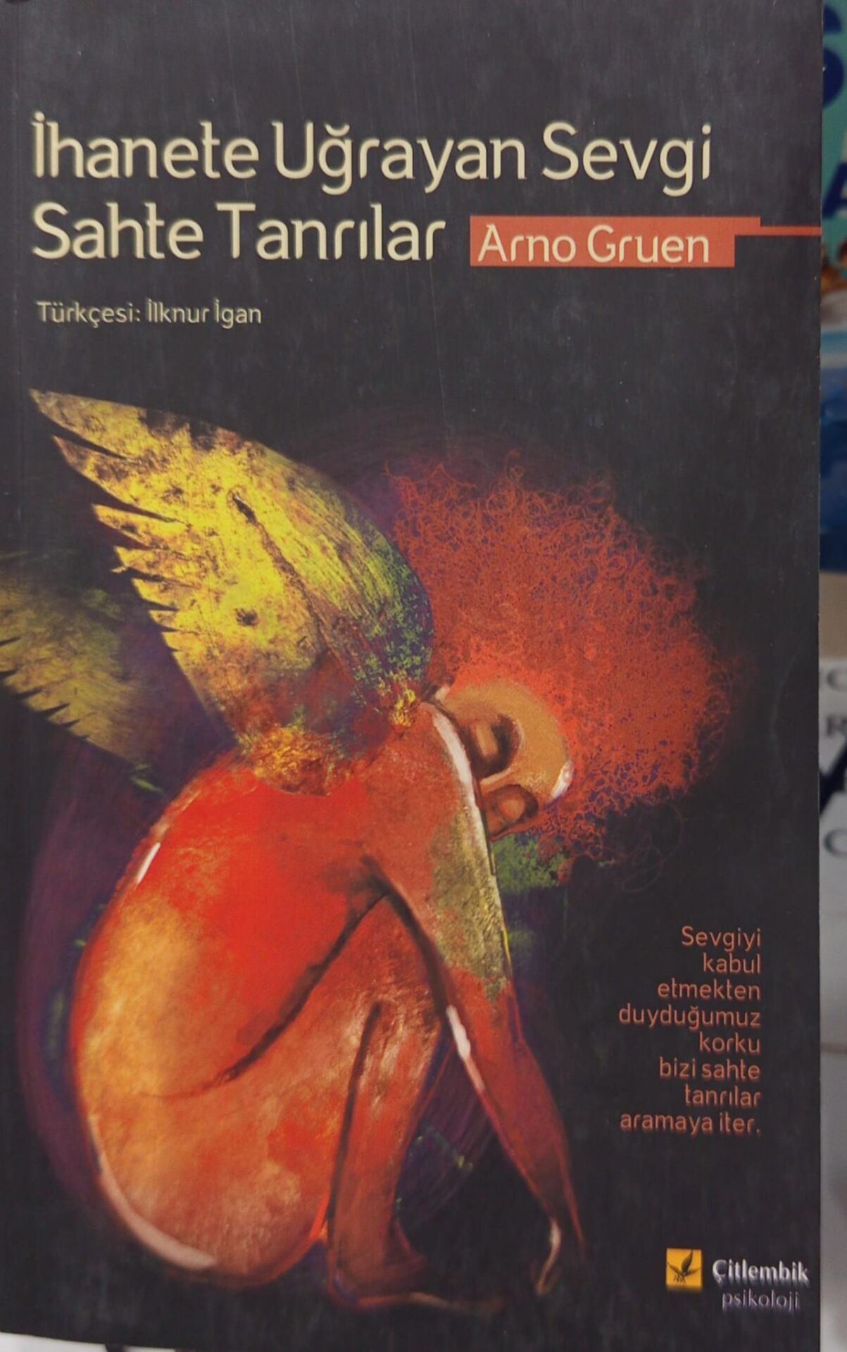 İhanete Uğrayan Sevgi Sahte Tanrılar - Arno Gruen