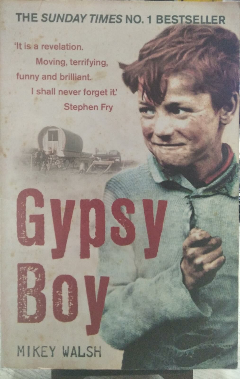 Gypsy Boy - MIKEY WALSH