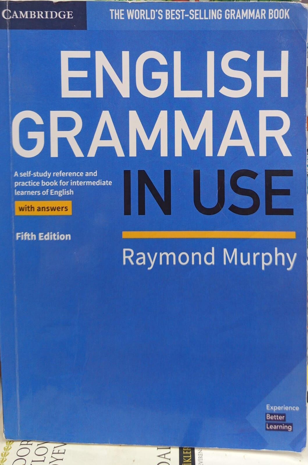 English Grammar In Use Raymond Murphy