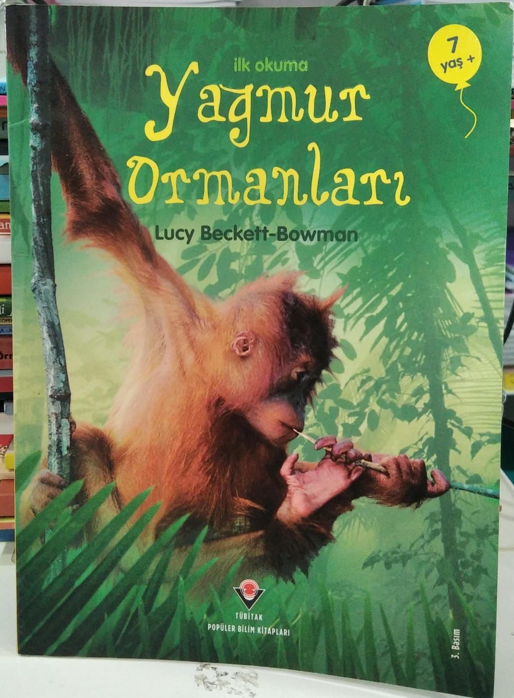 Yağmur Ormanları - Lucy Beckett - Bowman