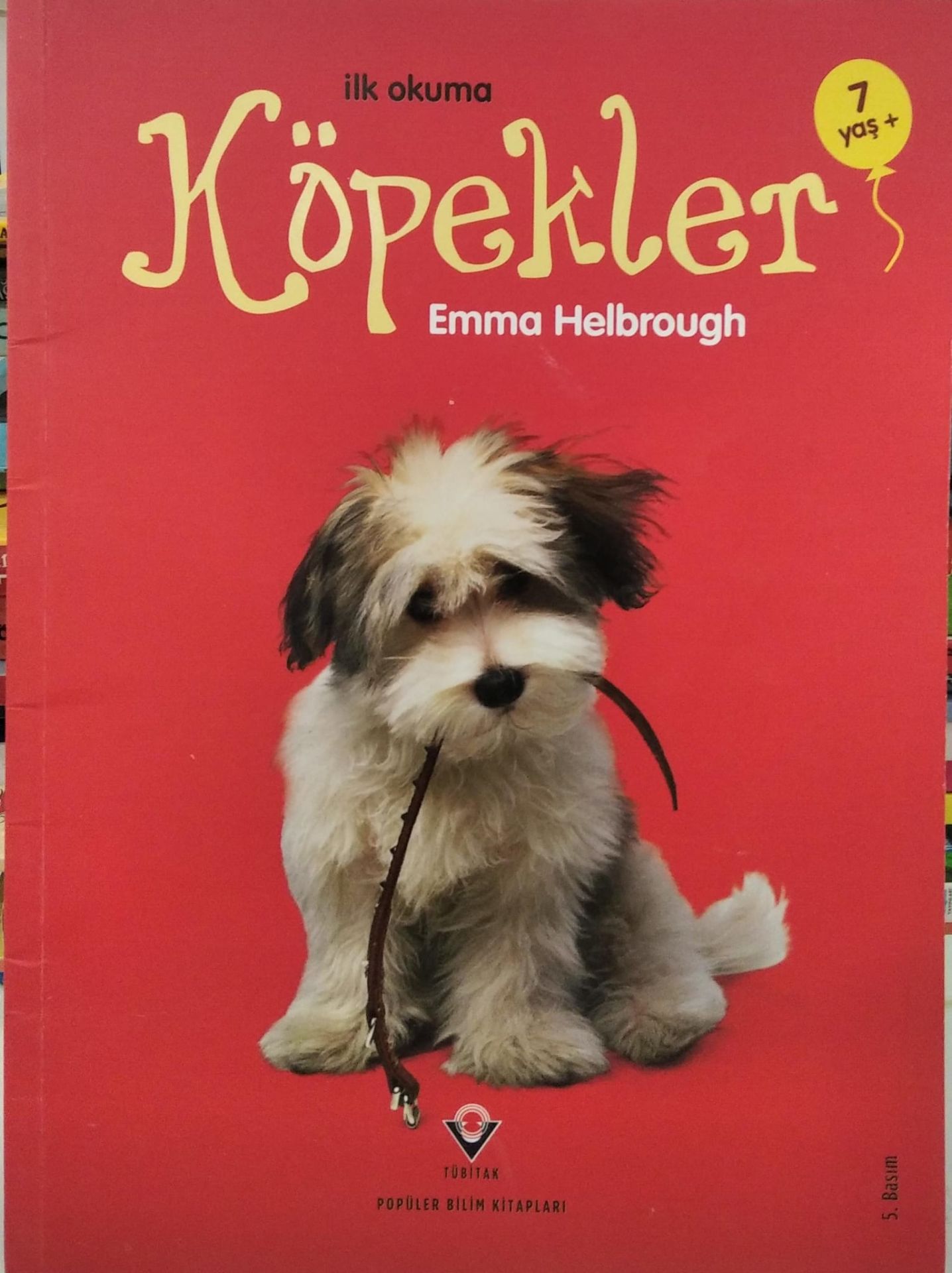 İlk okuma - Köpekler / Emma Helrough