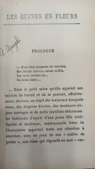 Les Ruines En Fleurs  - Guy Chantepleure - 1913 Basım