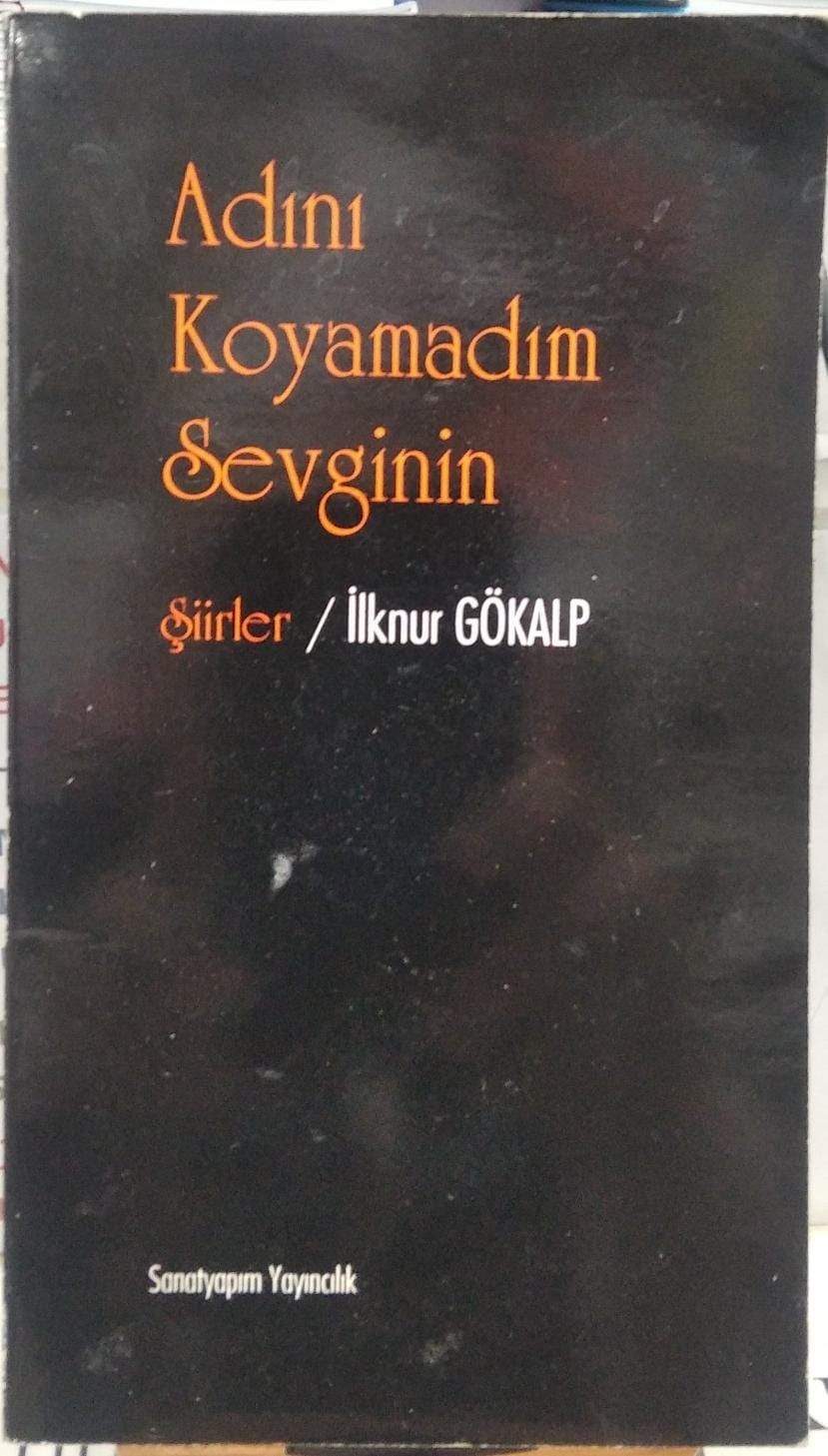 Adını Koyamadım Sevginin - İlknur Gökalp