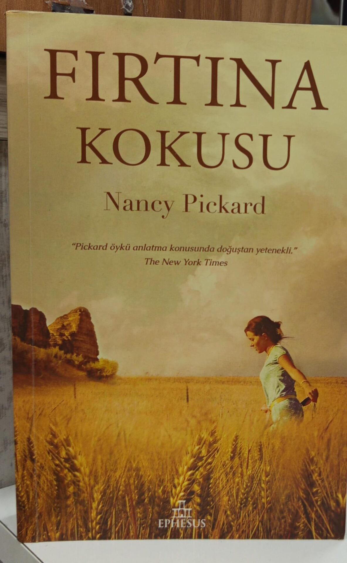 Fırtına Kokusu - Nancy Pickard