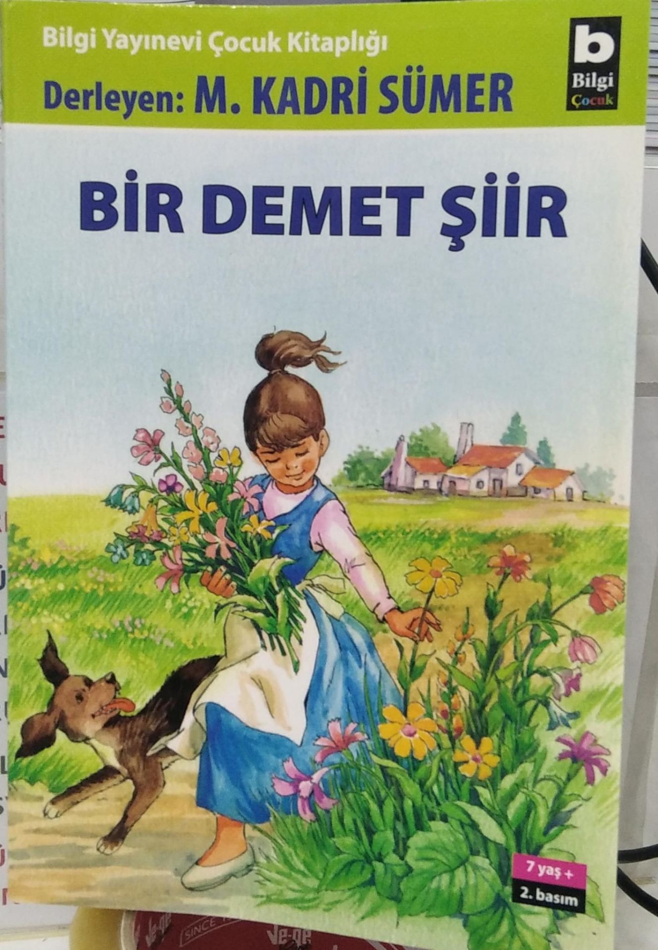 Bİr Demet Şiir - Mehmet Kadri Sümer