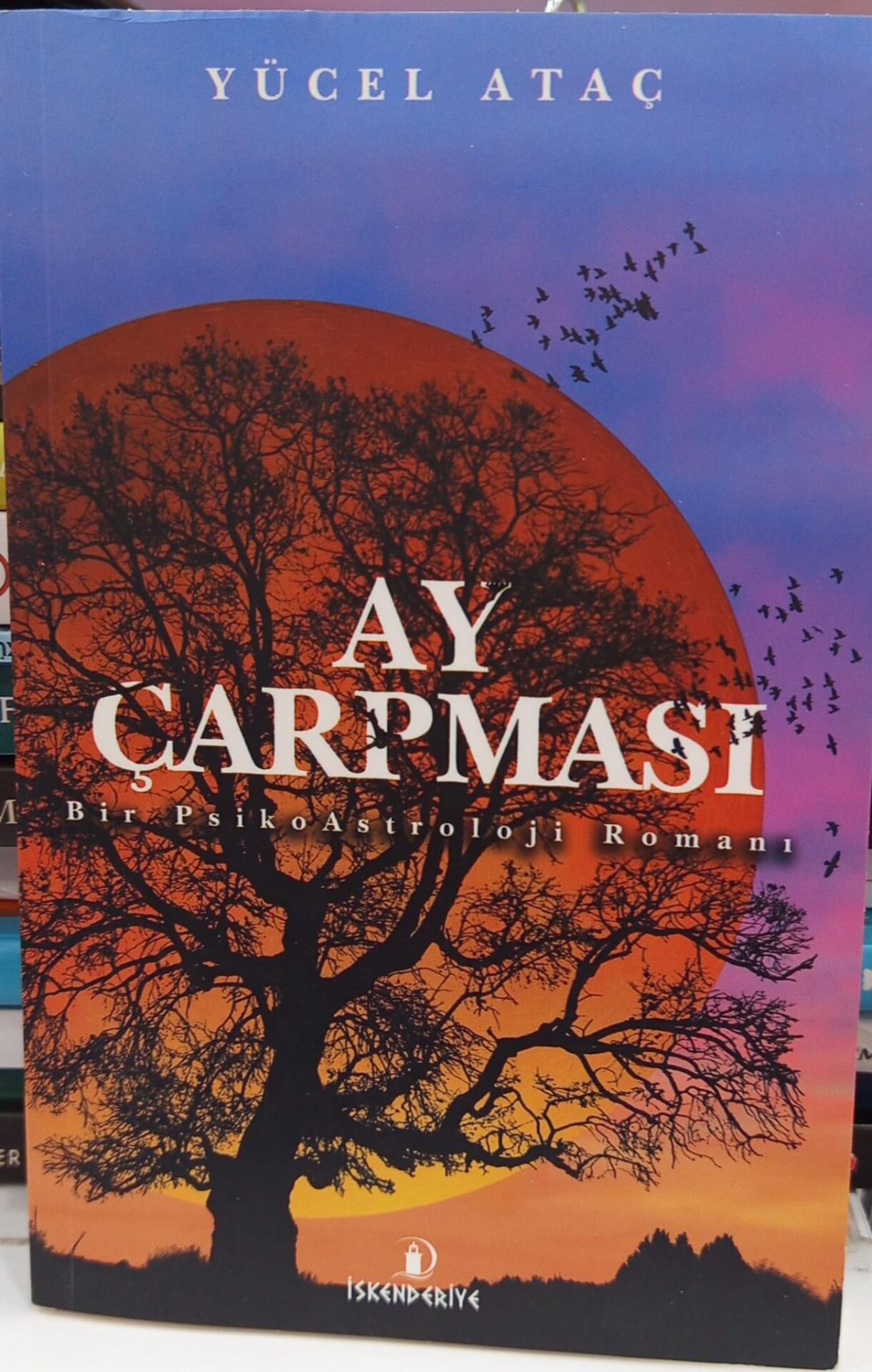 Ay Çarpması Bir PsikoAstroloji Romanı - Yücel Ataç