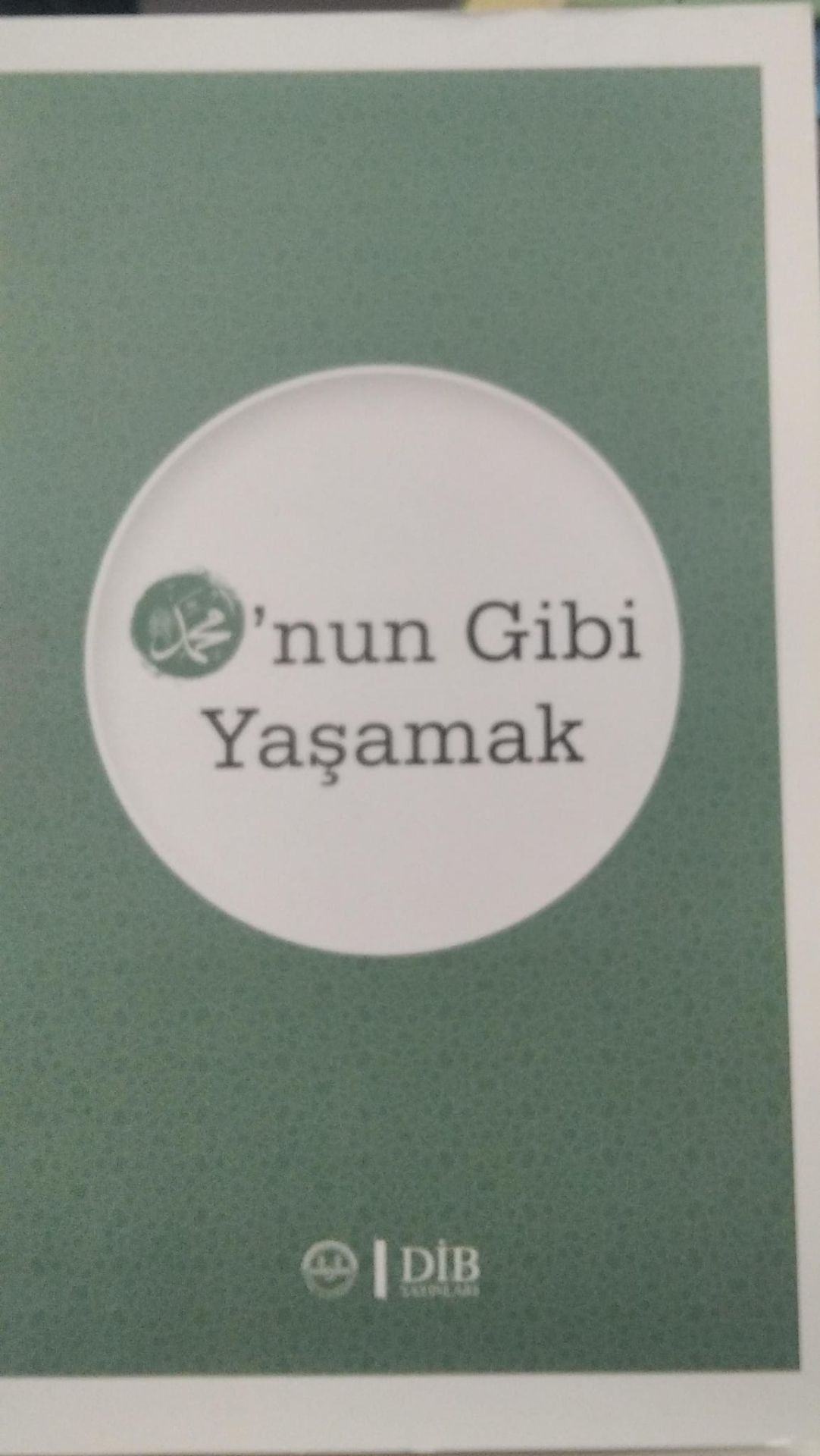 Onun Gibi Yaşamak  - Huriye Martı