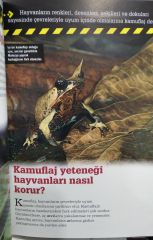 Hayvanlarda Saldırı ve Savunma - Kusursuz Kamuflaj- Tübitak / 2EL