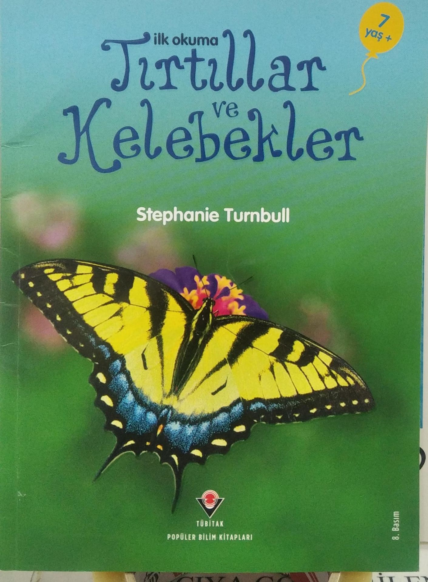 İlk Okuma - Tırtıllar ve Kelebekler - Tübitak