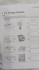 Cambridge Primary Science - Workbook 4