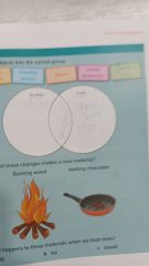 Cambridge Primary Science Learner's Book 2