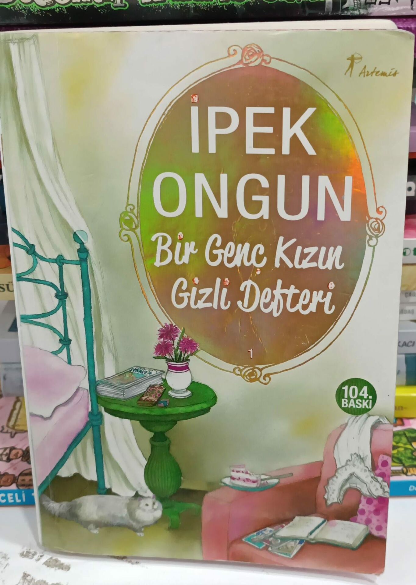 Bir Genç Kızın Gizli Defteri 1 - İpek Ongun