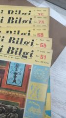 Resimli Bilgi - 51 - 81 Arası Sayılar