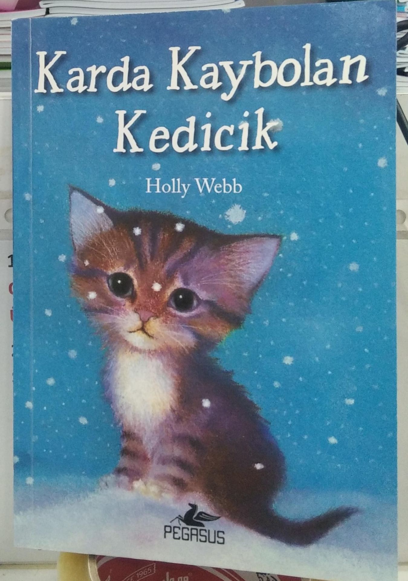 Karda Kaybolan Kedicik - Holly Webb