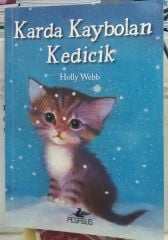 Karda Kaybolan Kedicik - Holly Webb
