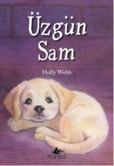 Üzgün Sam - Holly Webb