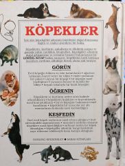KÖPEKLER - DORLING KINDERSLEY