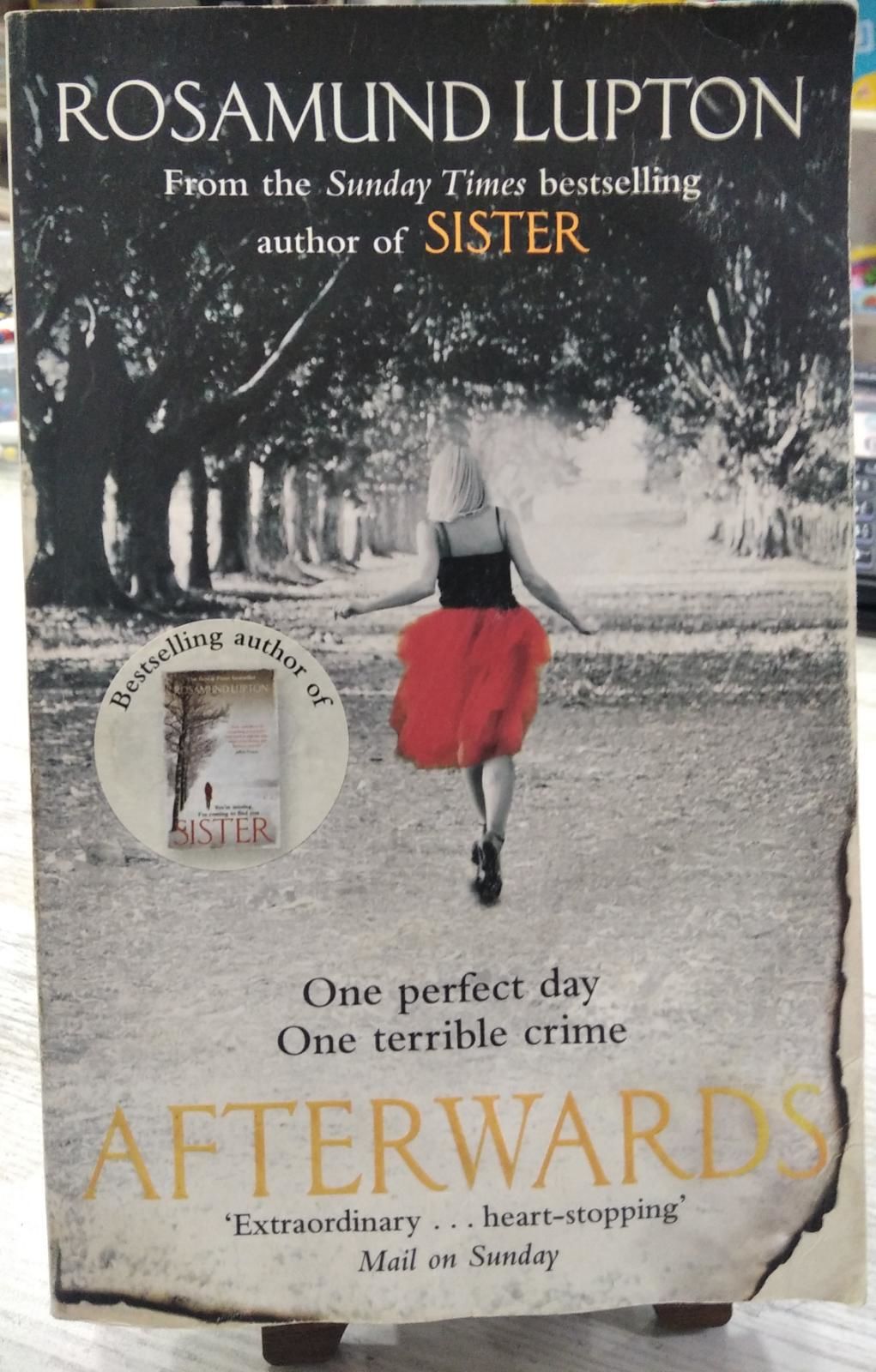 AFTERWARDS - ROSAMUND LUPTON