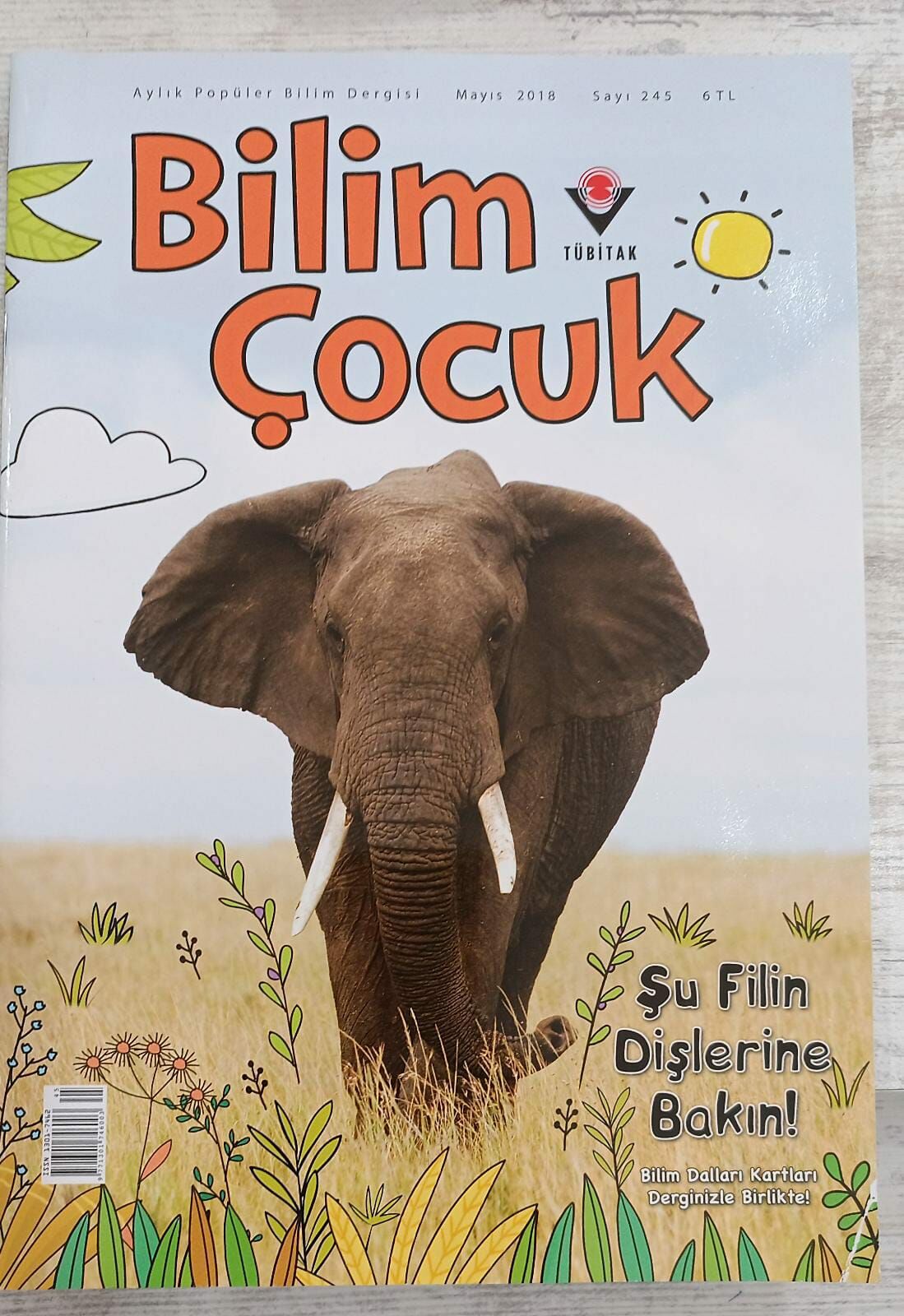 BİLİM ÇOCUK -  ŞU FİLİN DİŞLERİNE BAKIN