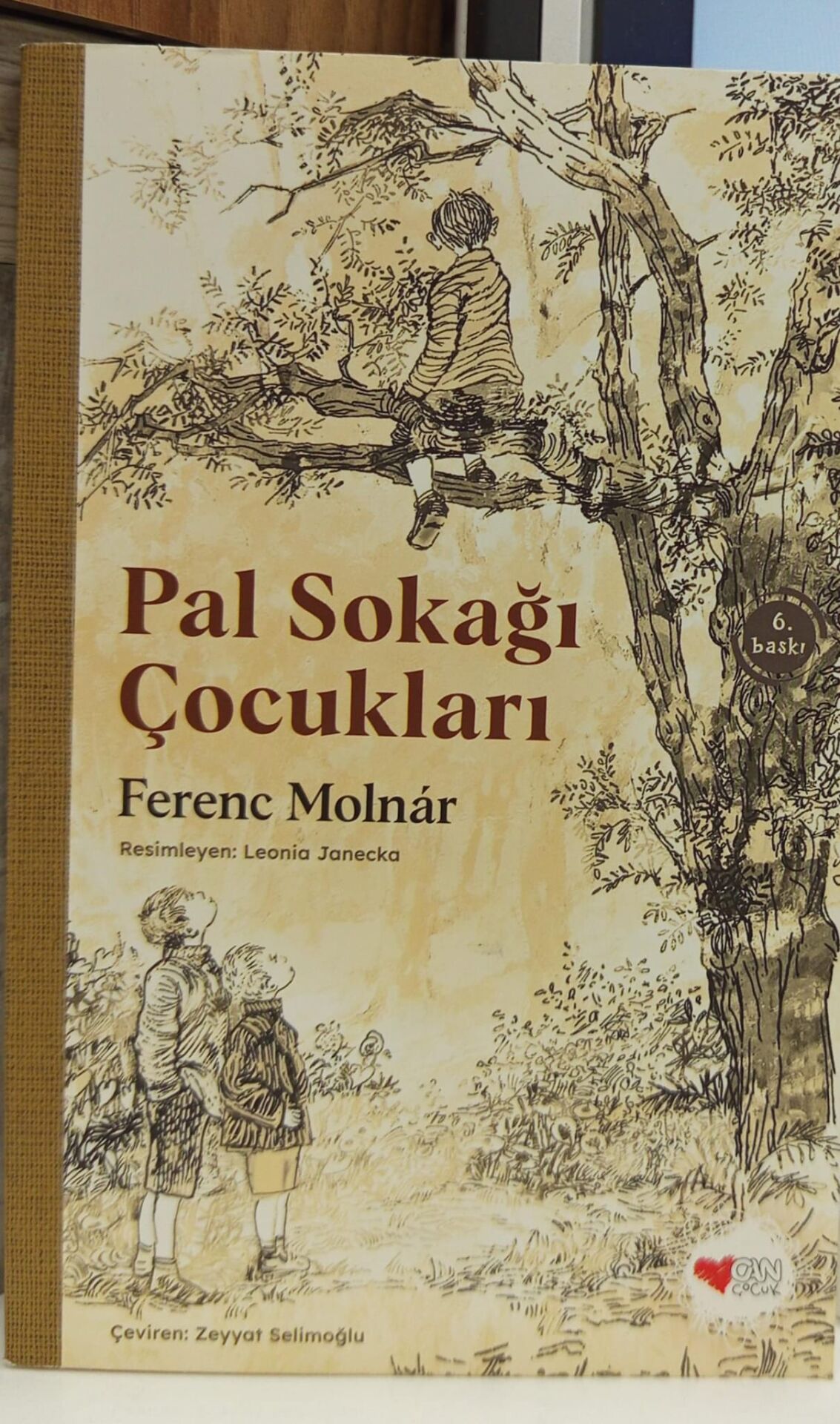 Pal Sokağı Çocukları -  Ferenc Molnar