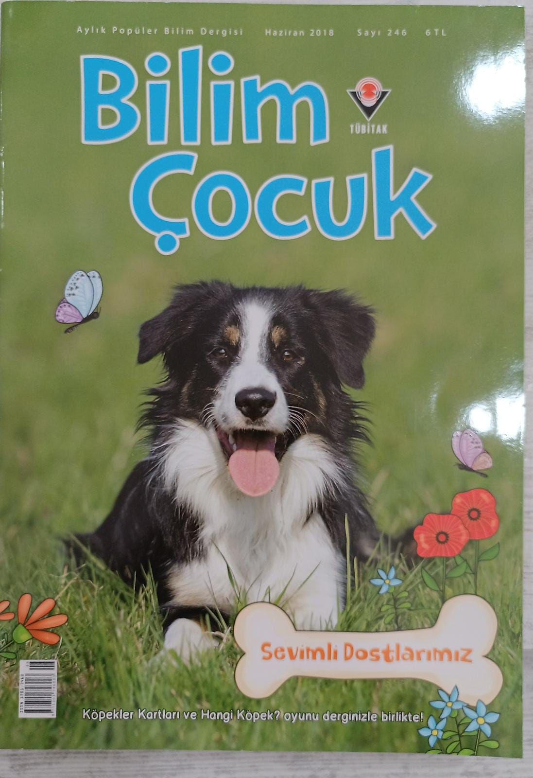 BİLİM ÇOCUK  - SEVİMLİ DOSTLARIMIZ - 2018/246