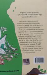 Çiftçi Karıncalar Köleci Karıncalara Karşı - Toprak Işık