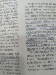 TIBBİ FİZYOLOJİ - 7. EDITION - CİLT 1