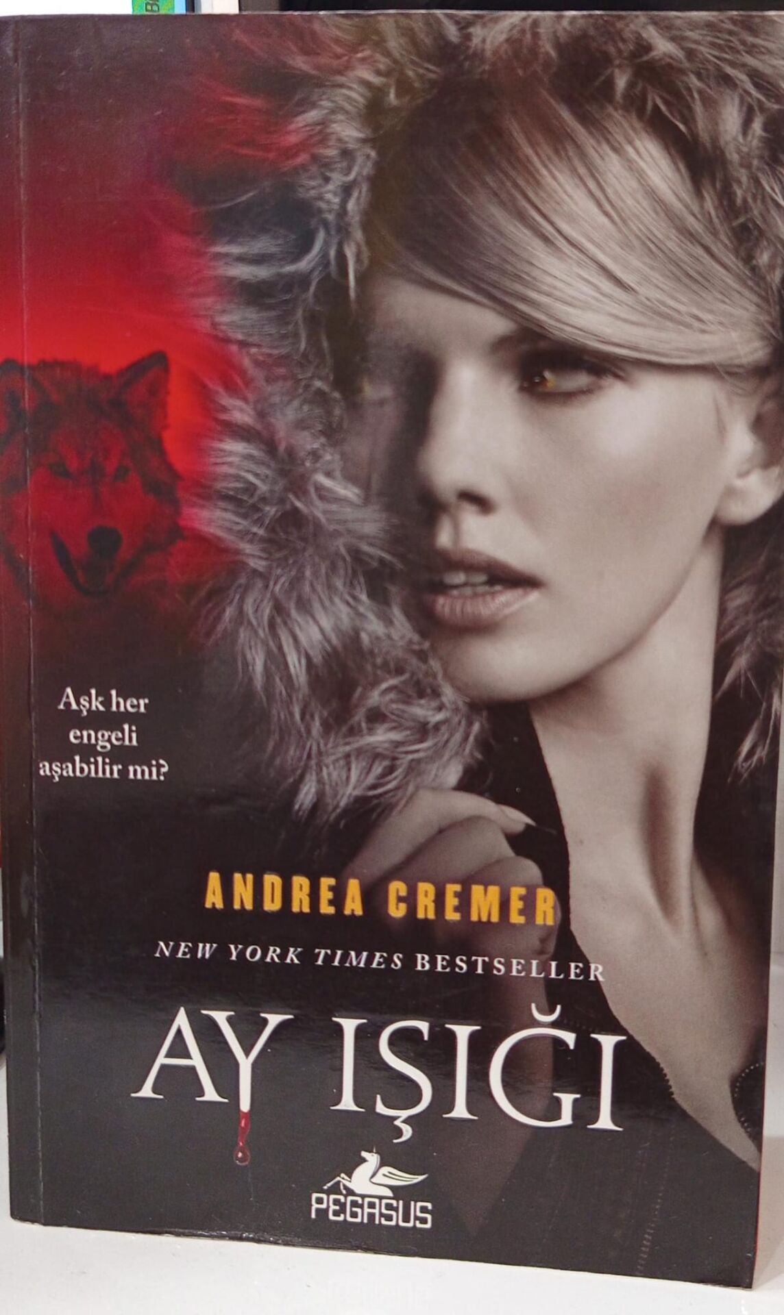 Ay Işığı - Andrea Cremer