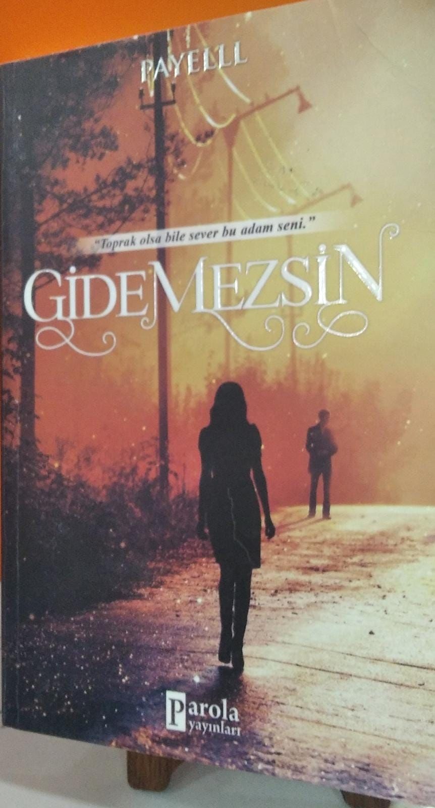 Gidemezsin