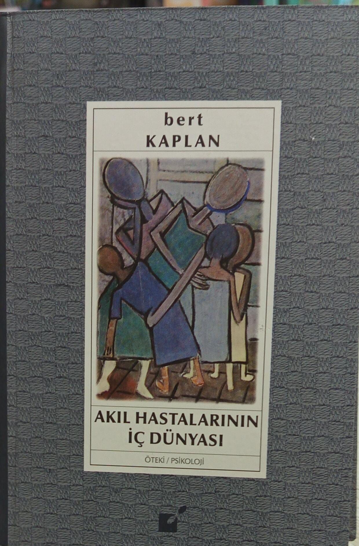 Akıl Hastalarının İç Dünyası - Bert Kaplan