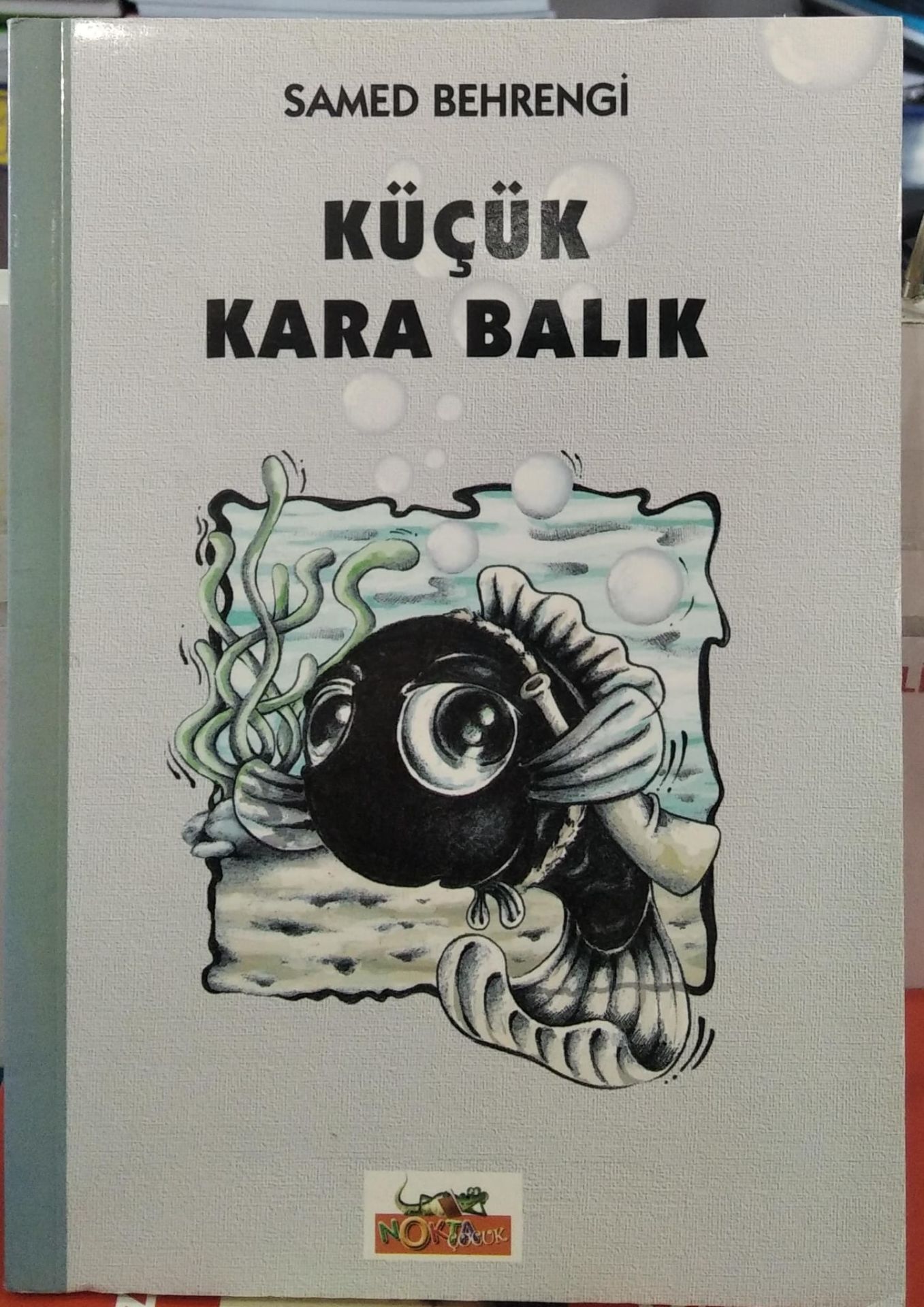 Küçük Kara Balık - Samed Behrengi