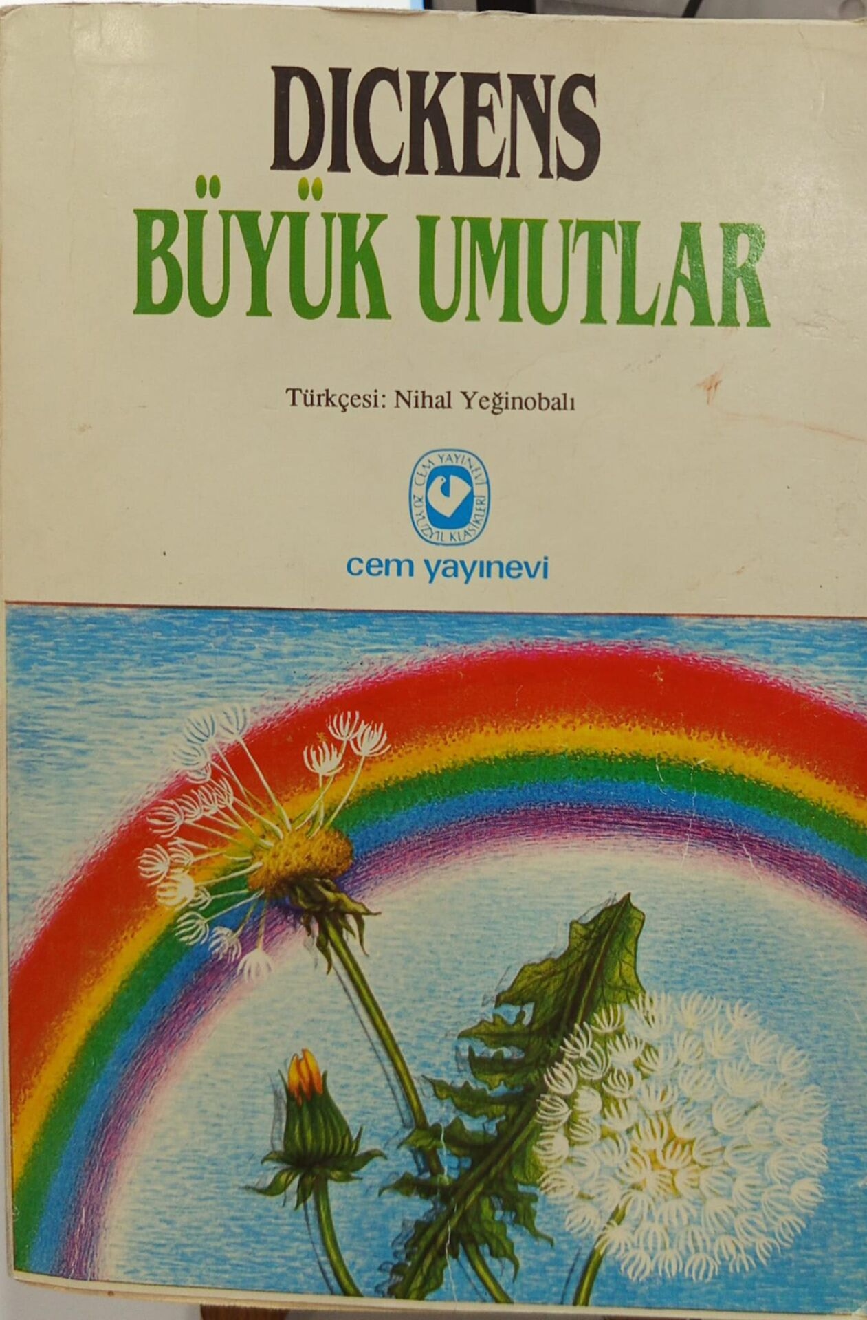 Büyük Umutlar - Charles Dickens