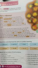 Cambridge Primary Path 6 Student's Book