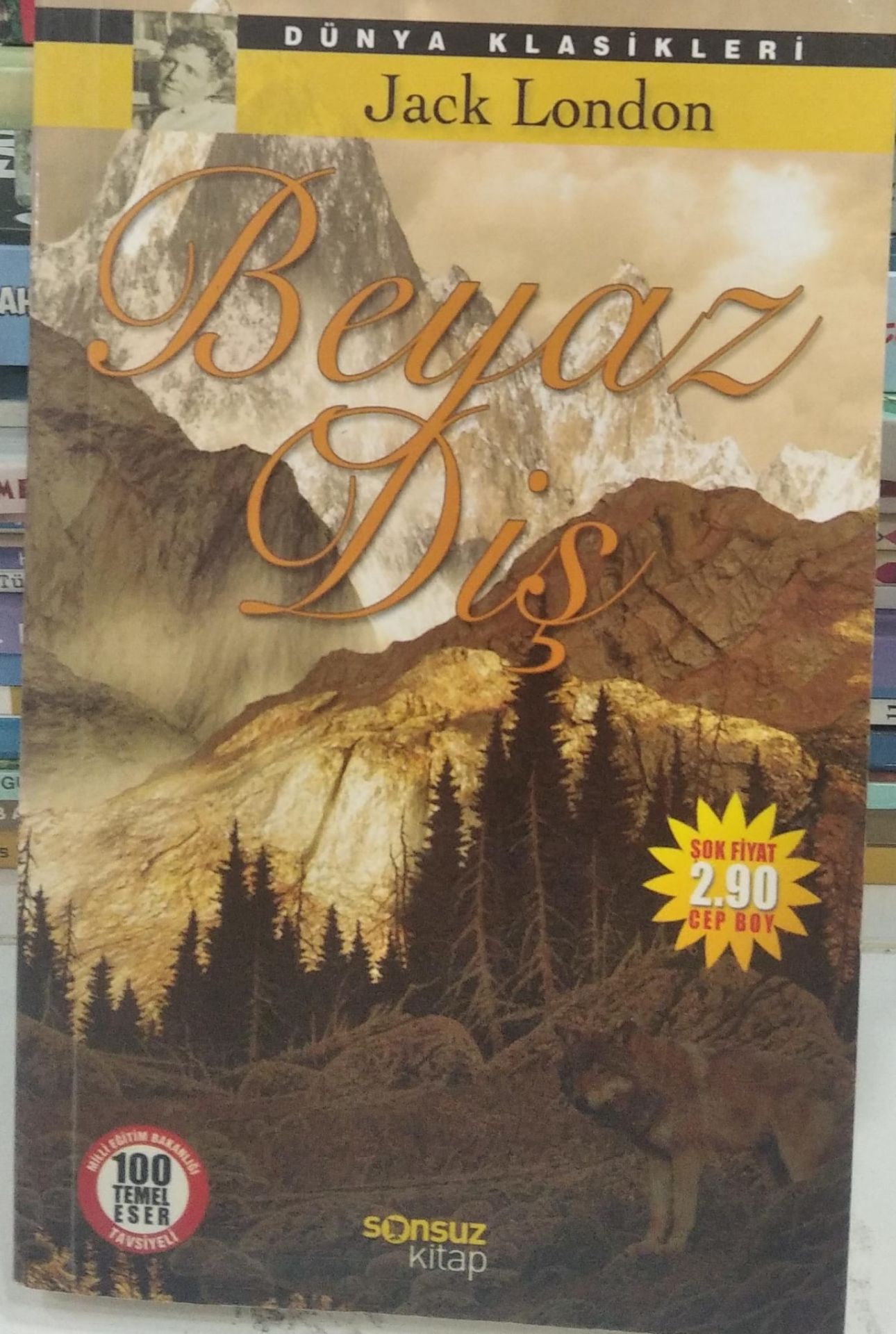 Beyaz Diş - Jack London - Sonsuz Yayınları