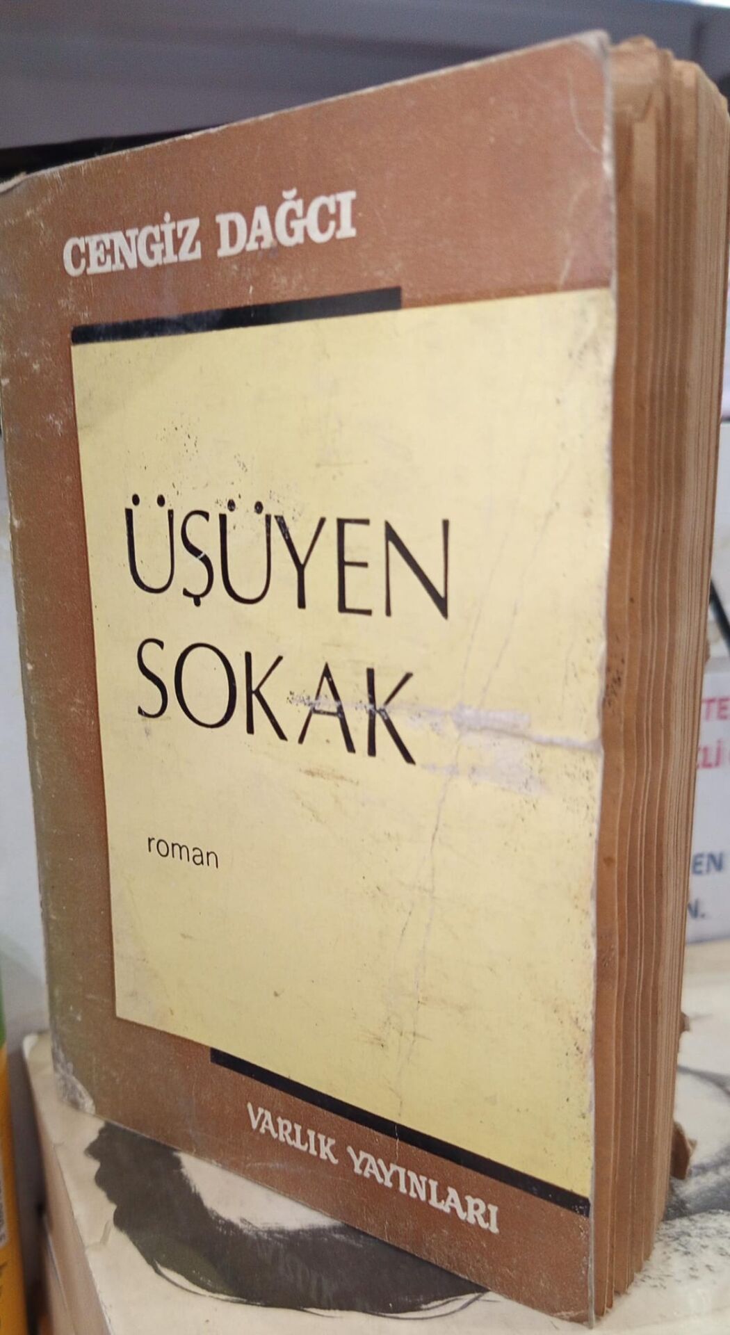 Üşüyen Sokak - Cengiz Dağcı