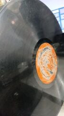 Bülent Ersoy - Dile Düştüm 310 Plak