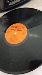 Bülent Ersoy - Dile Düştüm 310 Plak