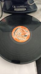 Bülent Ersoy - Dile Düştüm 310 Plak