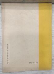 Schopenhauer - Aşkın Metafiziği