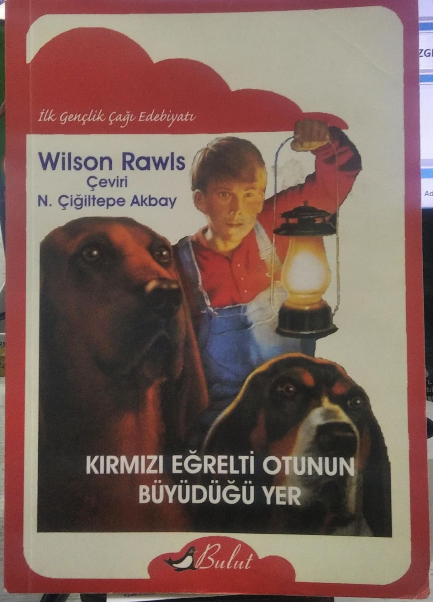 Kırmızı Eğrelti Otunun Büyüdüğü Yer - Wilson Rawls