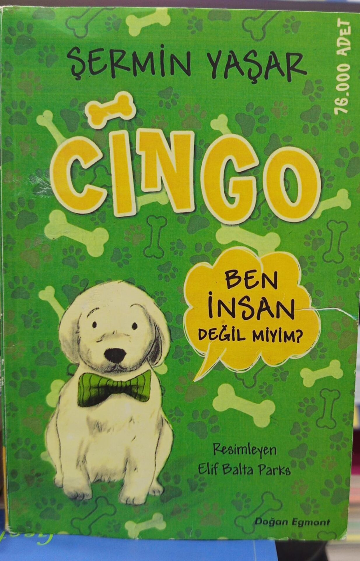 Cingo - Şermin Yaşar
