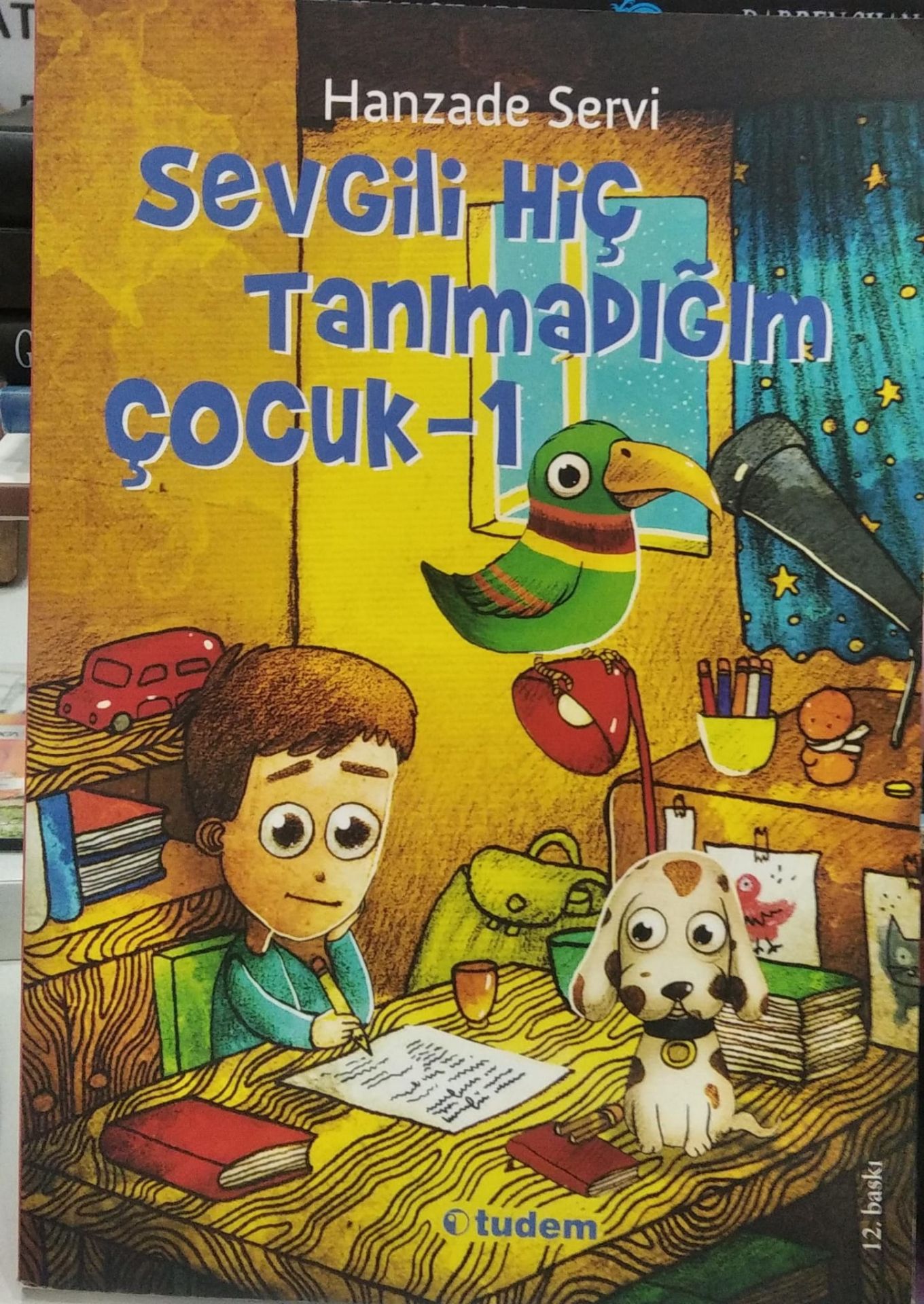 Sevgili Hiç Tanımadığım Çocuk - Hanzade Servi