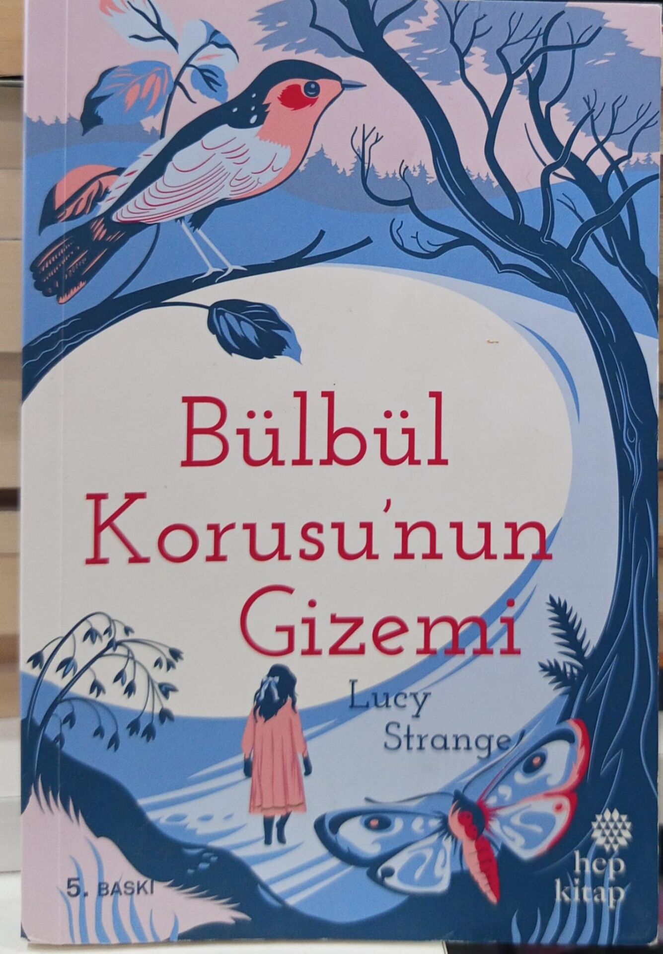 Bülbül Korusu'nun Gizemi - Lucy Strange