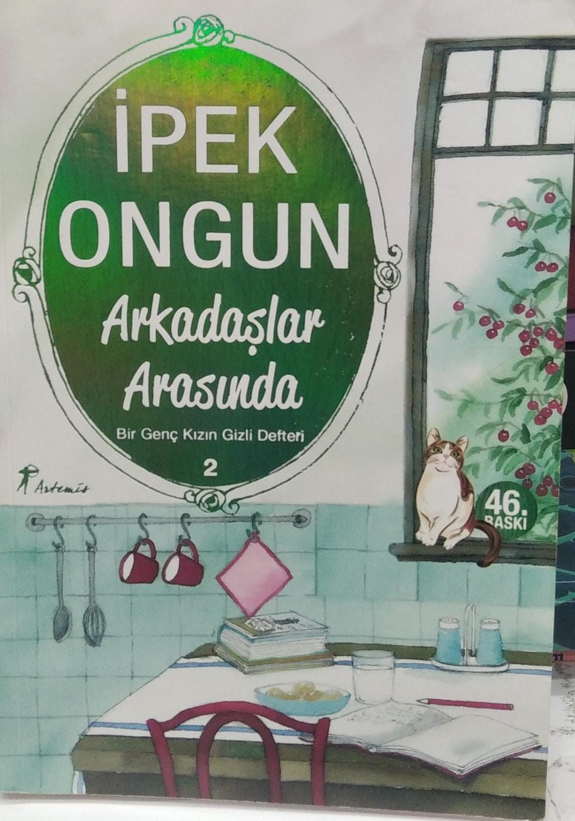 Arkadaşlar Arasında - Bir Genç Kızın Gizli Defteri 2 /2. EL