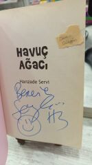 Havuç Ağacı - Hanzade Servi