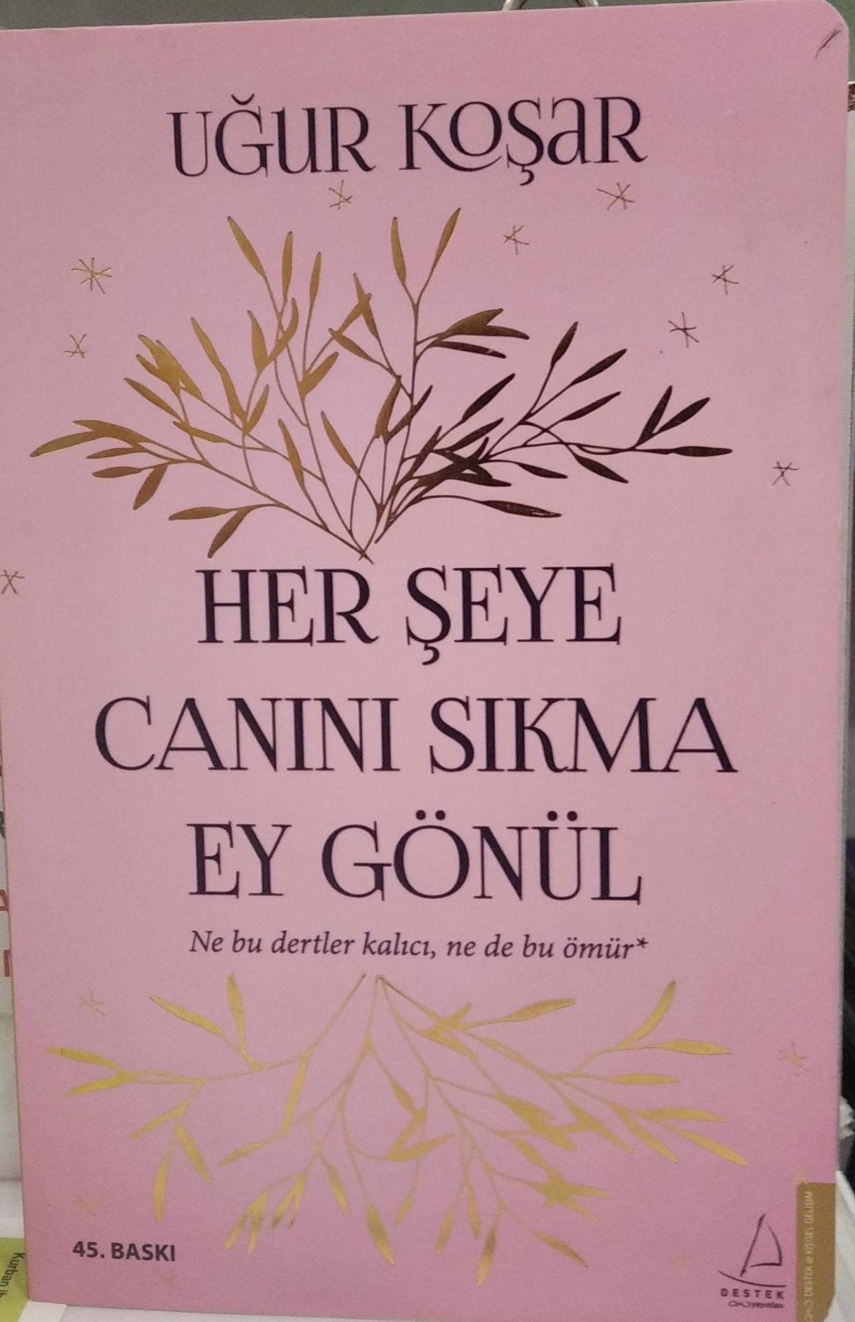 Her Şeye Canını Sıkma Ey Gönül - Uğur Koşar