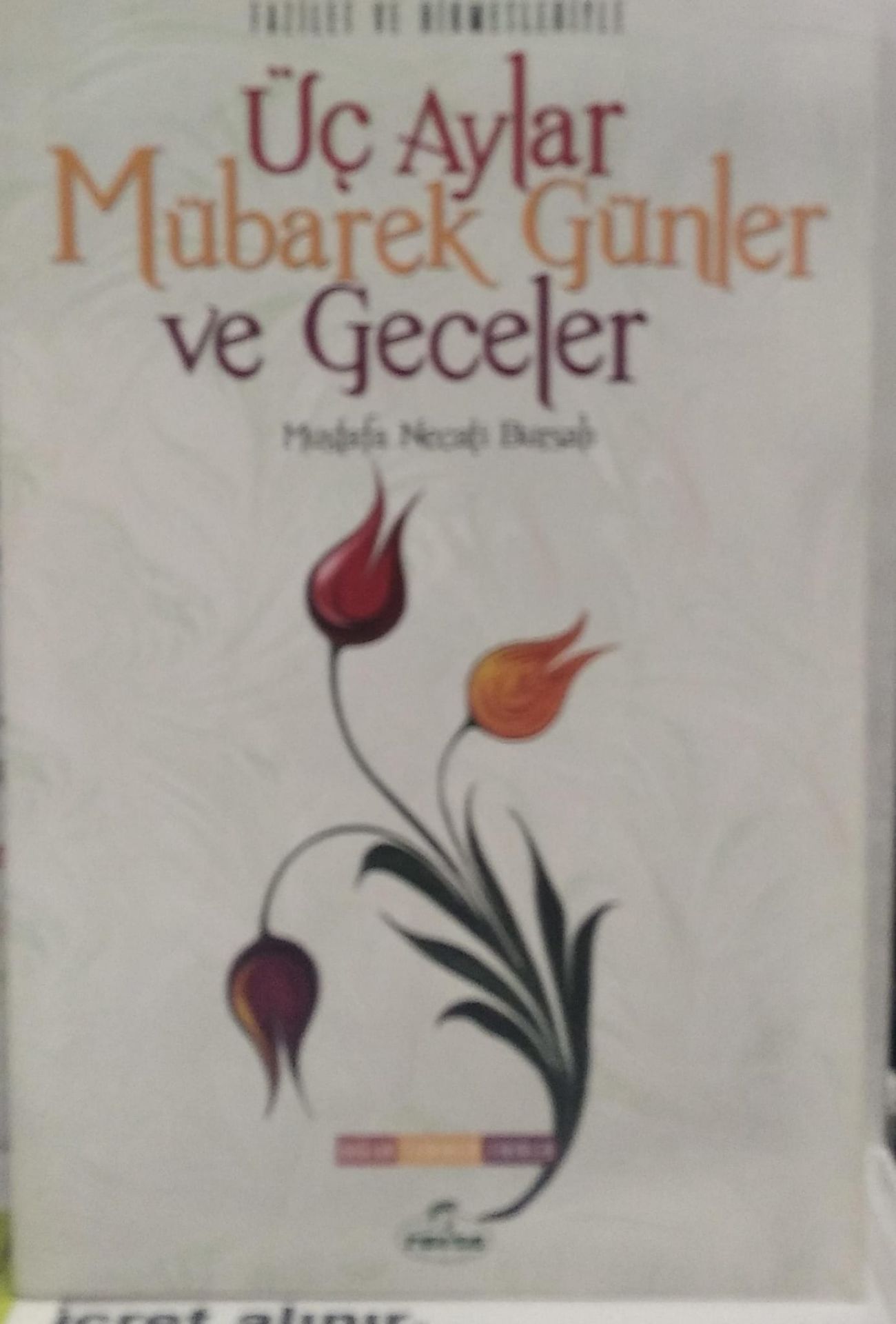 Fazilet ve Hikmetleriyle Üç Aylar Mübarek Günler ve Geceler -  Mustafa Necati Bursalı